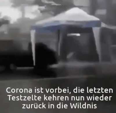 ich👵iel