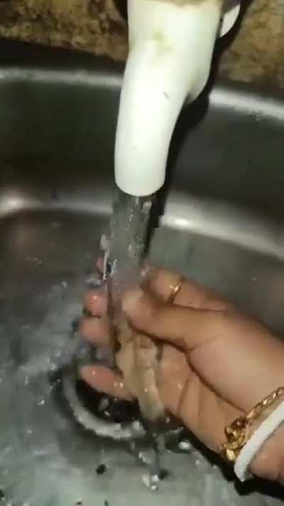 Fish Chai kha lo fraaands