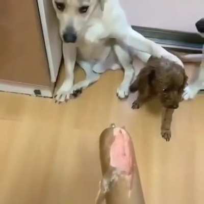 Maybe maybe maybe