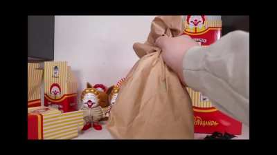 Ronald McDonald for Lunch