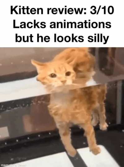 Discord gif or whatever the fuck they are up to nowadays