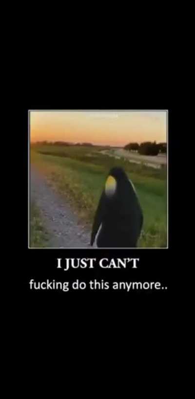 damn
