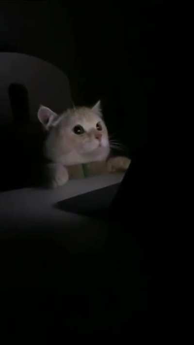 Damn lights