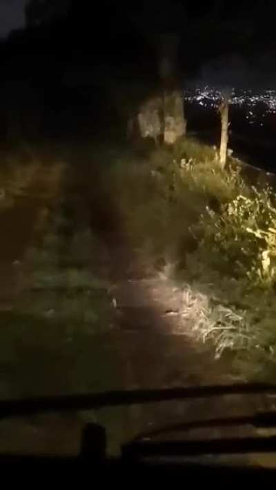 HAAAY MAE QUE SUSTO (el video no es mio)