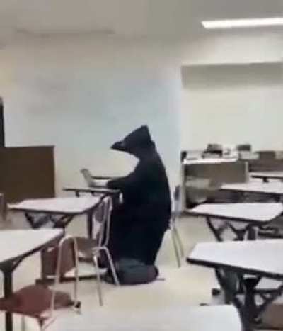 Ele est&aacute; aqui