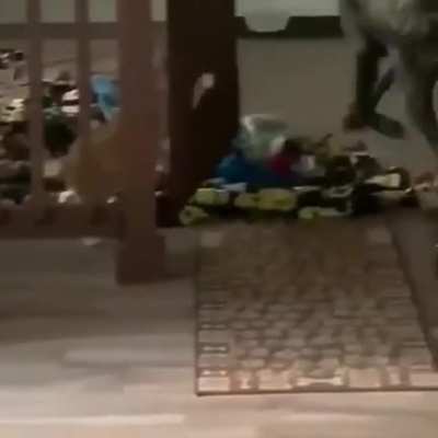 Poor dog