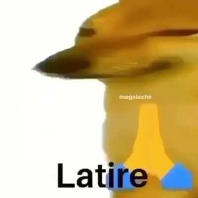 Dorime