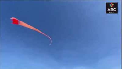 Kite girl