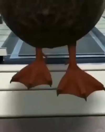 Life size duck