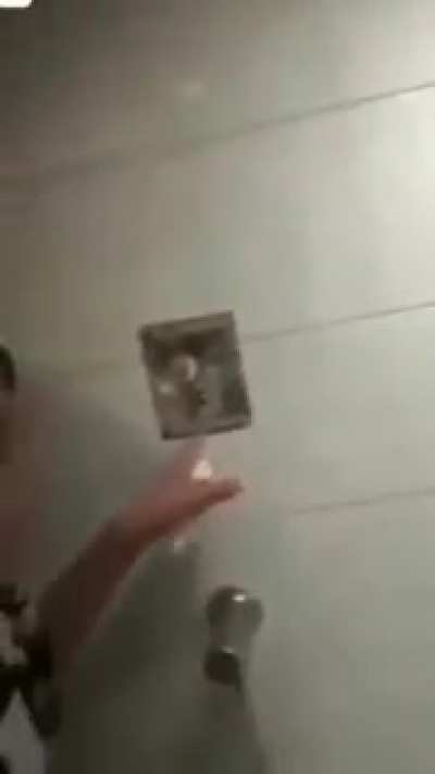 macauli