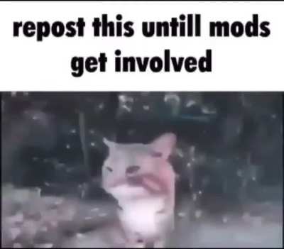 Come on let&rsquo;s do this
