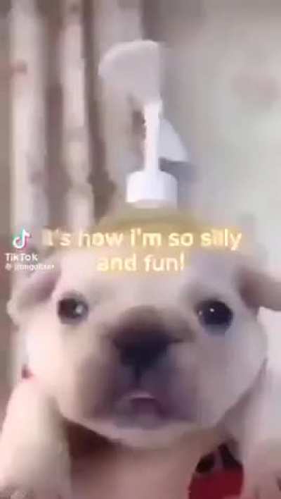 what&rsquo;s the music in the back rule