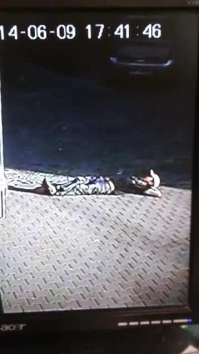 Laying on the sidewalk (WARNING: INJURY)