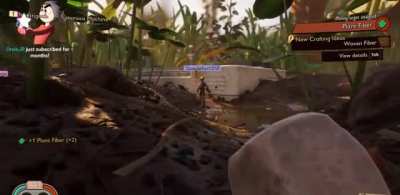 I guess he ate the mushrooms