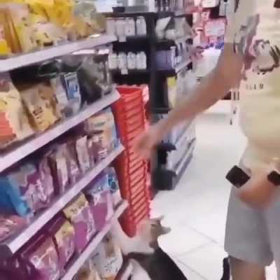 "Buy this one right here, hooman...."
