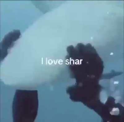 sakrh jfnalkjsfn