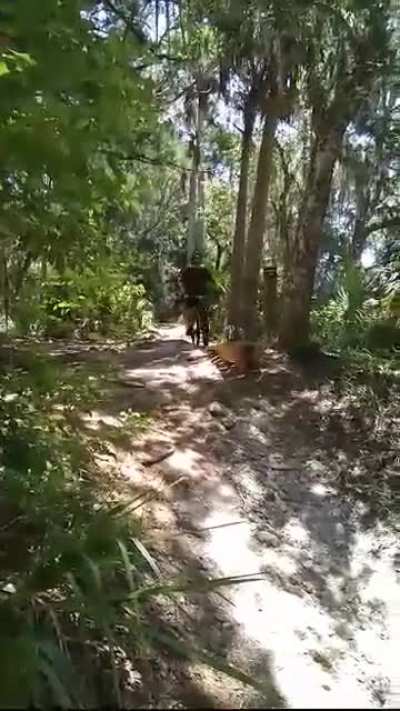 After 9 years of Mountain Biking, I tried my first drop!