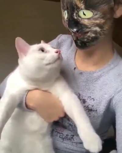 &ldquo;Whelp, see ya&rdquo;