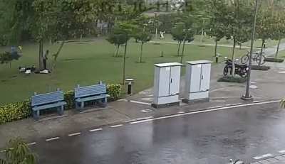 WCGW standing near a tree during a storm
