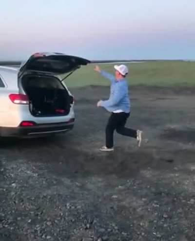Pure stupidity