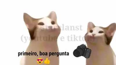 Porra nilce😡