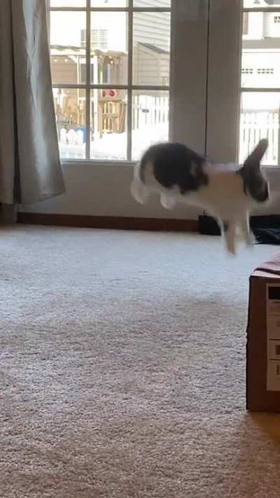 Surprise!