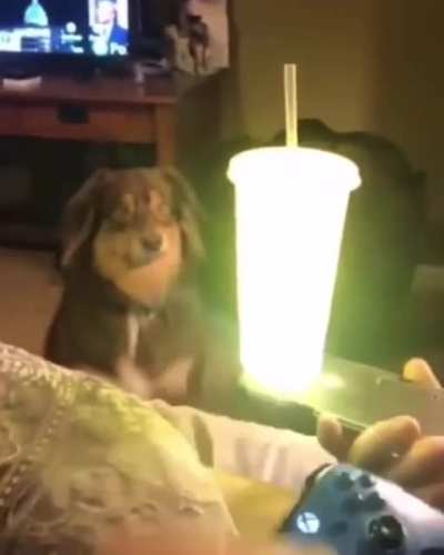 He hath seen the light...