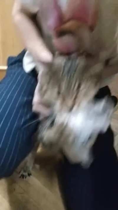To get it from him