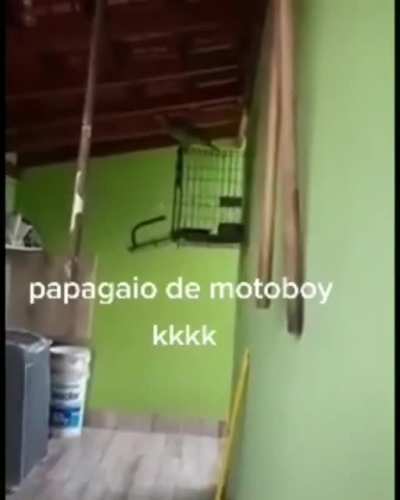 Mostra ai Loro