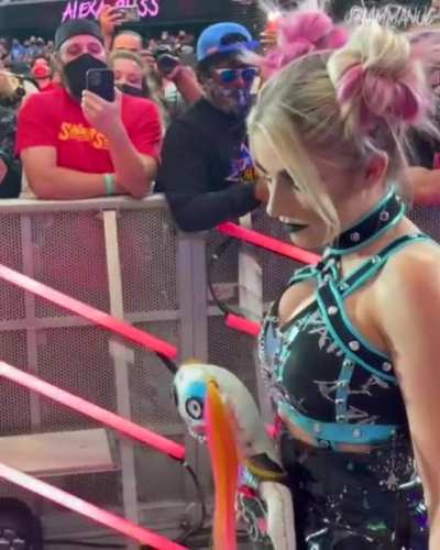 Alexa bliss