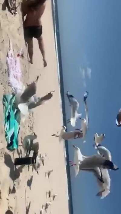 WCGW feeding the cute birds