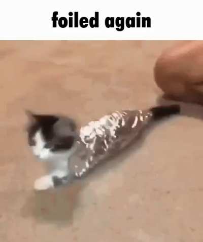 rule