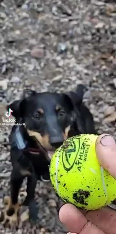 The ball&hellip;
