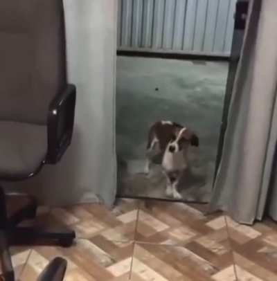 Yo he has the moves