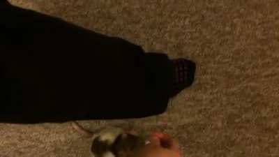 Shadow&rsquo;s Weave-Walk Trick!