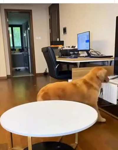 "Now he'll never find out..."