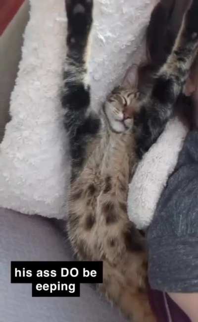 wunk&rsquo;s ass DO be passed out
