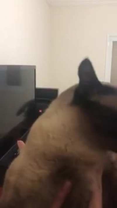 She has a lot of concerns she&rsquo;d like to voice! (don&rsquo;t worry, my baby is not being harmed)