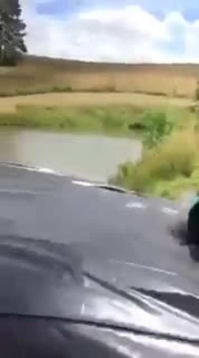 Wrong choice doggy