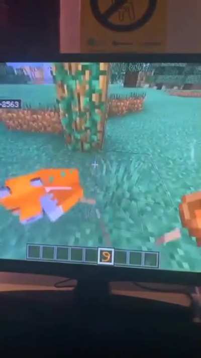 Walther goes for a swim