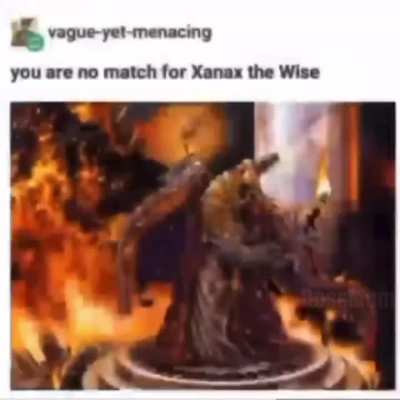 They are of the Highest Order, my liege