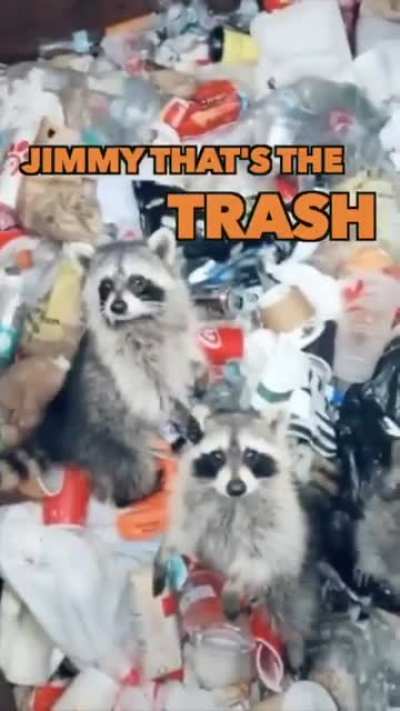 Coon City