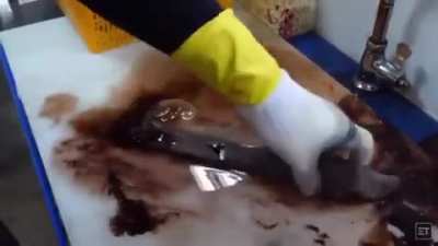 An additional video to my last post on the &lsquo;Penis Fish&rsquo;