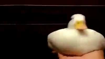 Bug&uuml;n bursluluk sınavına gireceğim. Girmeden &ouml;nce bir shitpost daha atıyım dedim