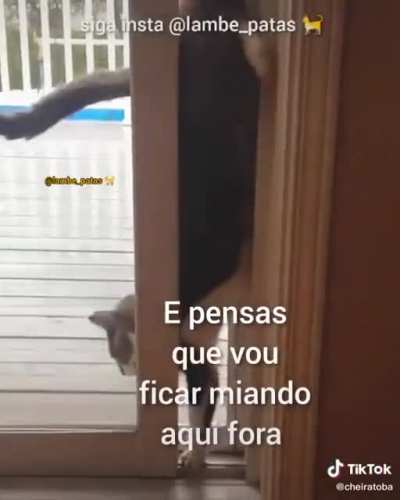 N&atilde;o &eacute; original mas achei engar&ccedil;ado(ta escrito errado de prop&oacute;sito)creditos no final mas peguei do TIK TOK @cheiratoba