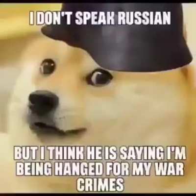 Doge