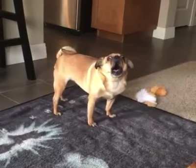 &ldquo;Hello, yes I&rsquo;m calling because I need a replacement part for my dog, his voice is malfunctioning&rdquo;
