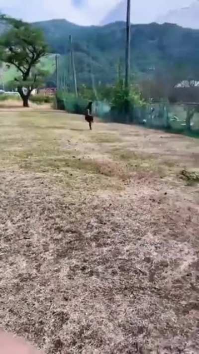SIIIUUUUU