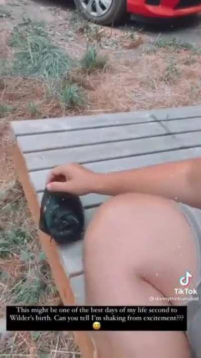 Guy Befriends a Crow