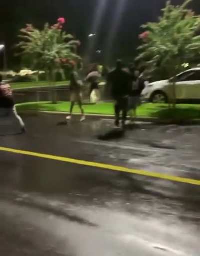 What do y&rsquo;all think of my fight video